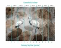 FOTOTAP_060_dzungla_z_zurawiem_i_palmami_bryty.jpg