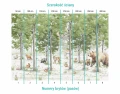 FOTOTAP_KIDS_037_w_lesnym_zakatku_bryty.jpg