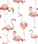 Tapeta różowe flamingi - wzór tapety z różowymi flamingami