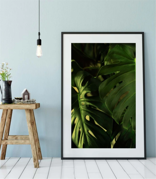 Monstera liście - wizualizacja