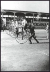 Plakat penny-farthing race