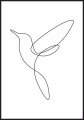 Plakat lecący koliber wykonany techniką line art