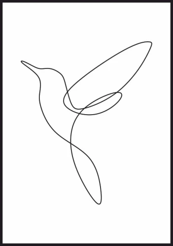 Plakat lecący koliber wykonany techniką line art
