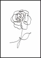Plakat minimalistyczna róża - z kwiatem w stylu line art
