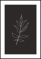 Plakat line art zarys białej gałązki na czarnym tle, poster z białym marginesem dookoła