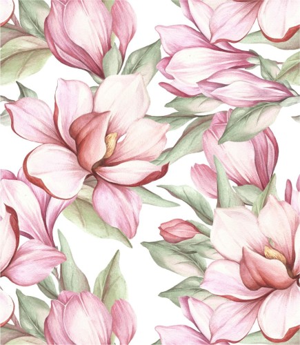 Tapeta kwitnąca magnolia