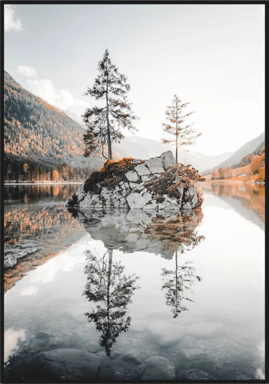 Fotografia samotnych drzew na wysepce na jeziorze.