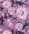 Tapeta róże i peonie