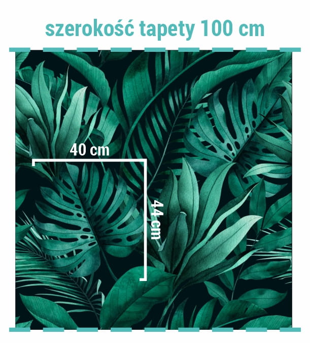 Wymiary tapety liście monstery, palmy, bananowca