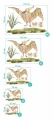 NAKL_DINO_016_dinozaur_pteranodon_wymiary.jpg