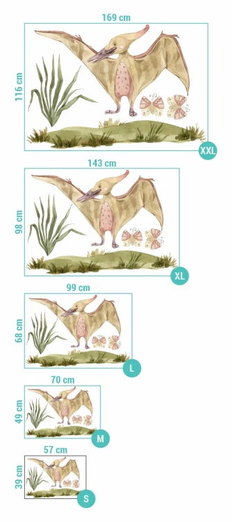 NAKL_DINO_016_dinozaur_pteranodon_wymiary.jpg
