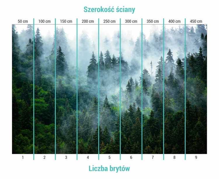 Fototapeta las we mgle przedstawiająca podział na bryty.