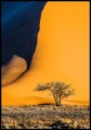 Soczysta fotografia drzewa z przewagą koloru pomarańczowego i granatu
