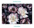 Fototapeta bouquet of peonies on black  - bryty
