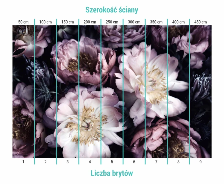Fototapeta bukiet piwonii na czarnym tle - podział na bryty