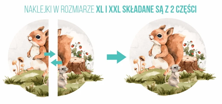 Podział naklejki wiewiórka w kółku w rozmiarze XXL