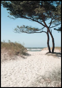Plakat piaszczysta ścieżka na plażę