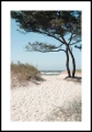 Plakat piaszczysta ścieżka na plażę