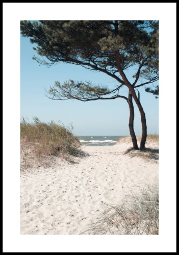 Plakat piaszczysta ścieżka na plażę