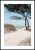 Plakat piaszczysta ścieżka na plażę