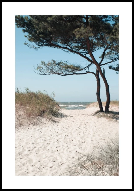 Plakat piaszczysta ścieżka na plażę