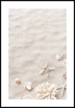 Plakat plaża z muszlami, rozgwiazdami i koralowcami z białym marginesem