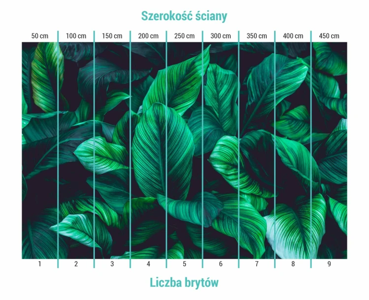 Fototapeta zielone liście na ciemnym tle pokazująca podział na bryty.