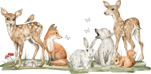 NAKL_KIDS_FOREST_016_sarny_z_ekipa_na_polanie.png
