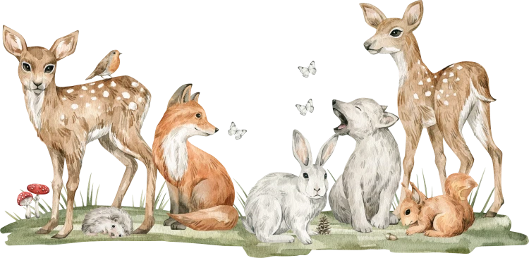 NAKL_KIDS_FOREST_016_sarny_z_ekipa_na_polanie.png