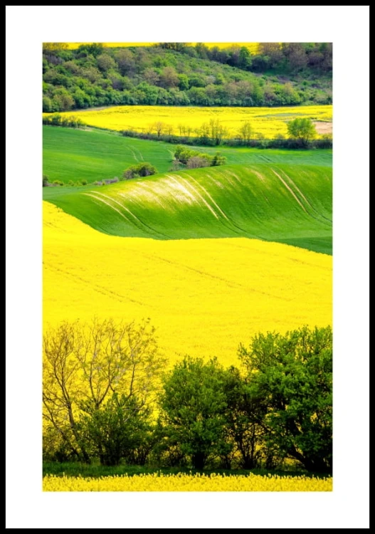 Plakat krajobraz morawskiej Toskanii z białym marginesem