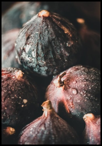 Ciemny plakat ze zdjęciem - ciekawym ujęciem fig. Fotografia ukazuje owoce w niezwykle elegancki sposób