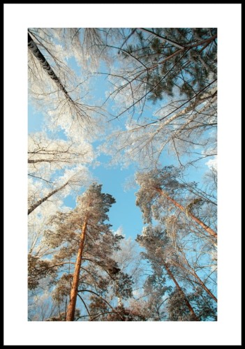Plakat drzewa pokryte śniegiem z białym marginesem dookoła