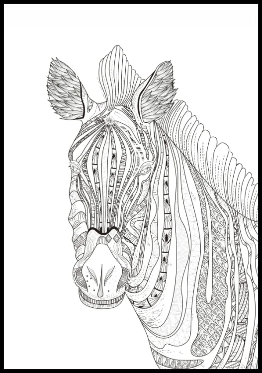Kolorowanka zebra