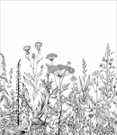 Próbka tapety botaniczna łąka