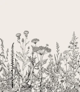 Próbka tapety botaniczna łąka w beżu