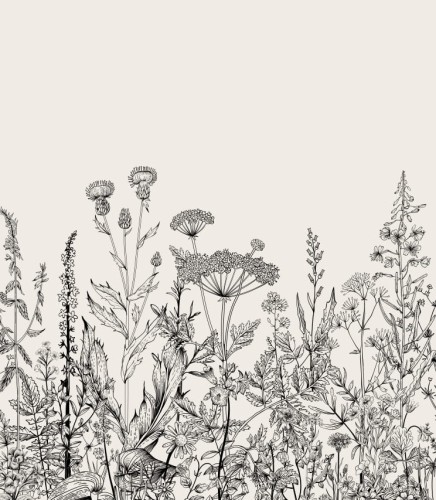 Próbka tapety botaniczna łąka w beżu