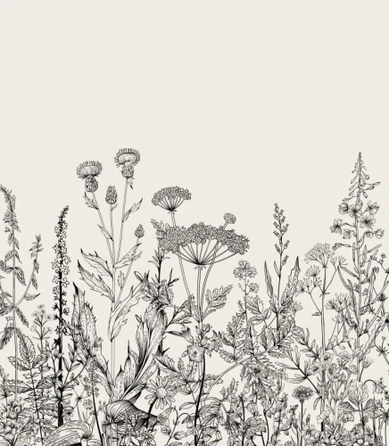 Próbka tapety botaniczna łąka w beżu