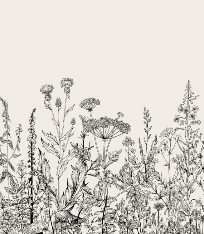 Próbka tapety botaniczna łąka w beżu
