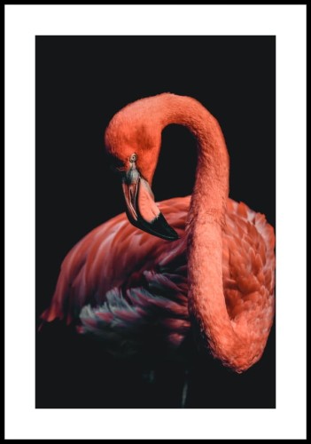 Plakat różowy flaming z  białym marginesem