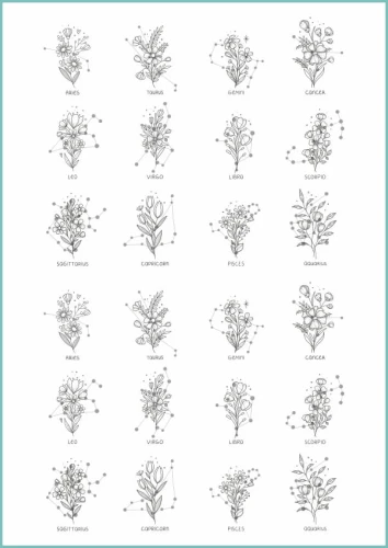 Tatuaże tymczasowe horoscope tattoo flowers
