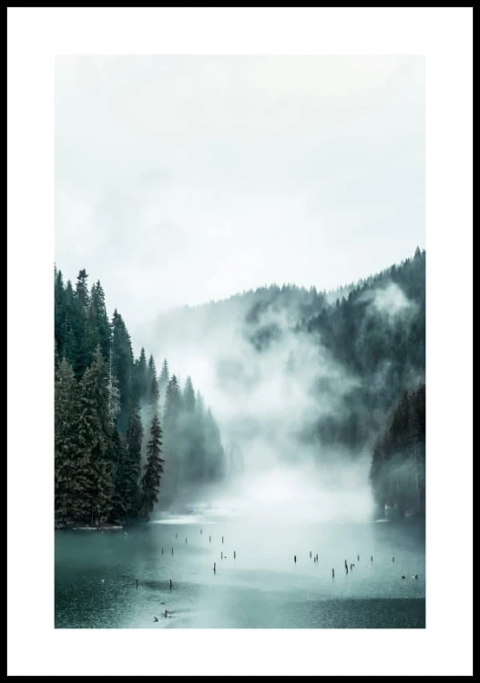 Plakat mgła z białym marginesem