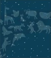 Fototapeta gwiezdne ZOO
