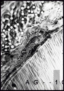 Plakat abstract ink