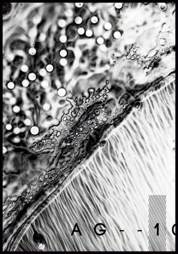 Plakat abstract ink
