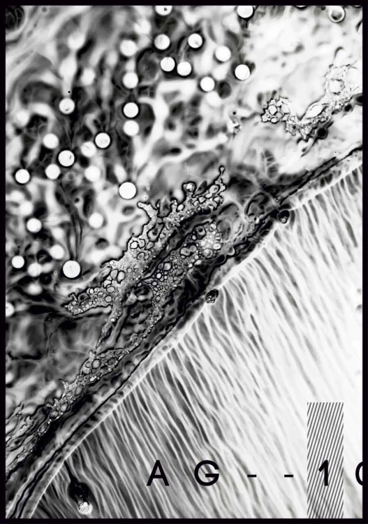 Plakat abstract ink