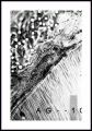 Plakat abstract ink z białą ramką dookoła