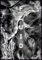 Plakat fluid