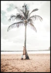 Plakat palma na plaży