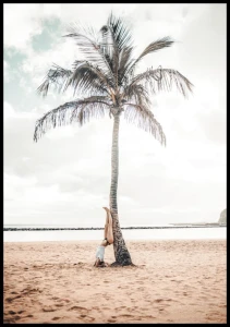 Plakat palma na plaży