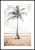 Plakat palma na plaży z białym marginesem